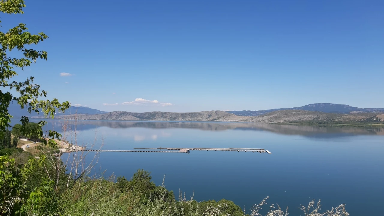 Βεγορίτιδα